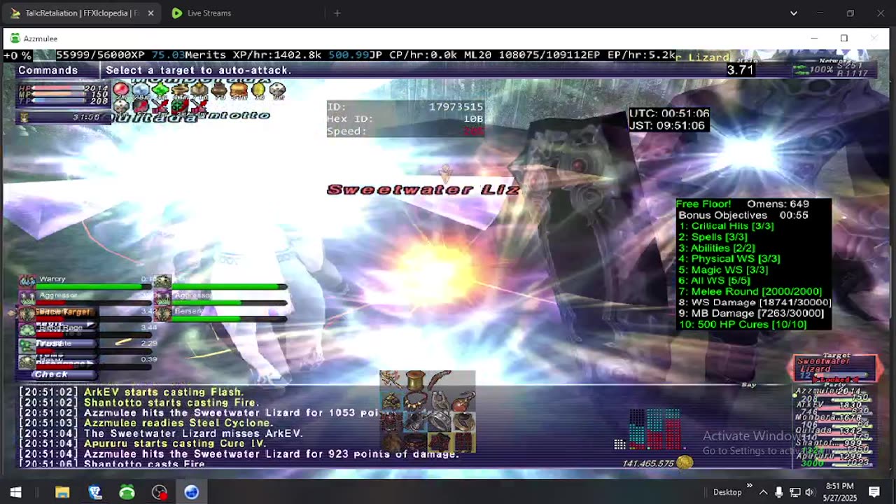 Playing Final Fantasy XI Online