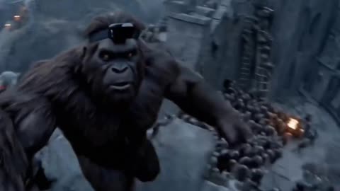 Big Foot Frodo