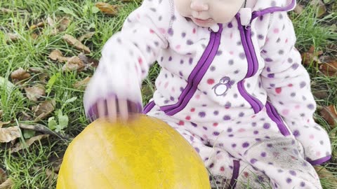 baby kayla taking on a pumpkin 🎃😂 cutest little boxing match ever