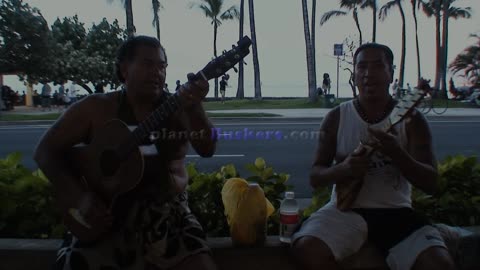 "Aue Taku Tane" (Will Crummer - 1963)