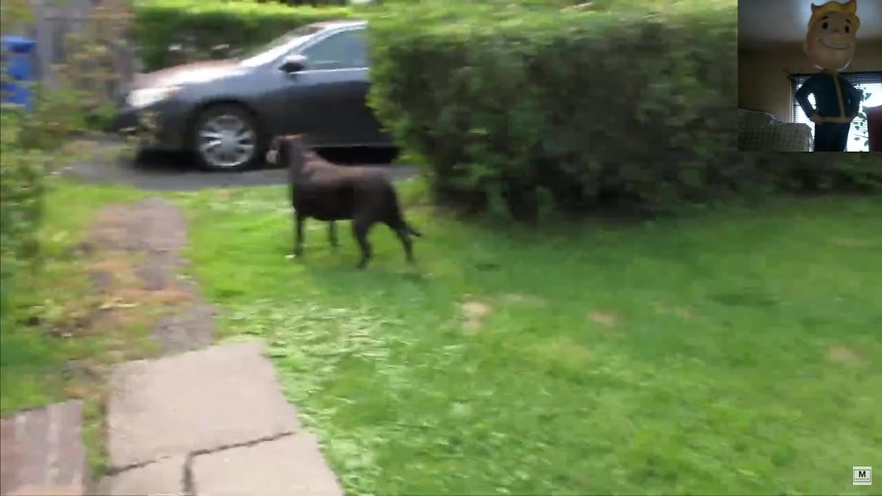 Best of Mia short reupload