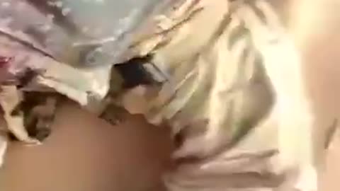 Russian Afrika Corps Ambushed in Mali by Tuareg Rebels