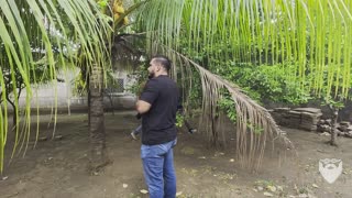 House for Sale in Barrio Guadalupe 🇳🇮 Leon Nicaragua