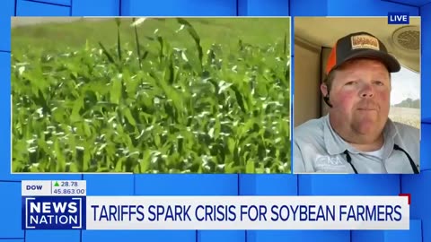 American Soybean Farmers Sound the Alarm: ‘We’ve Sold Zero—This Is a 5-Alarm Fire!