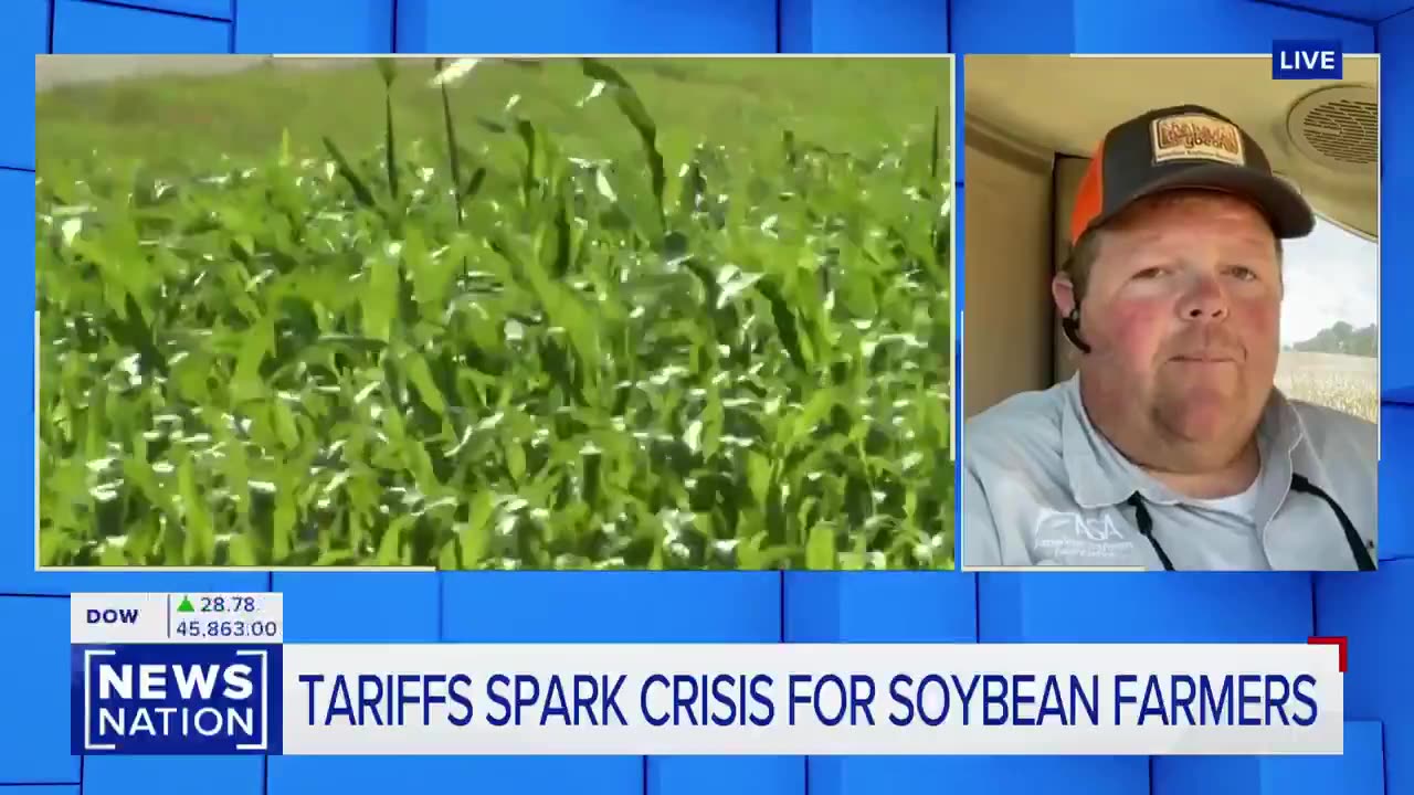 American Soybean Farmers Sound the Alarm: ‘We’ve Sold Zero—This Is a 5-Alarm Fire!