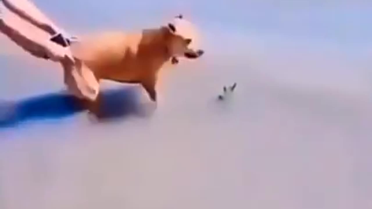 Must Watch 2025 Shocking Funny moments