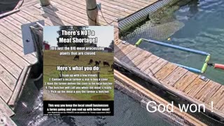 God, how long are you going to stand there doing nothing?