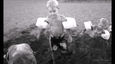 Beach Zombies