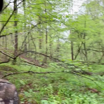 Watching a Live Stream 😉