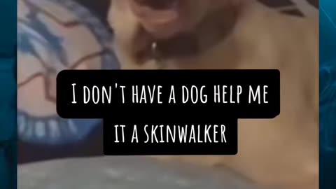 😱👻 You Won't Believe What They Caught on Camera! Skinwalker | TheHauntingHour