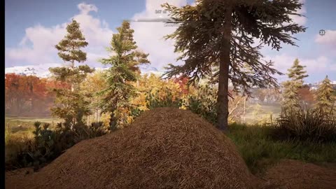 AC: Valhalla