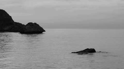 Ocean Tide Movement 🌊✨ | Gentle Sea Waves & Relaxing Ocean Sounds