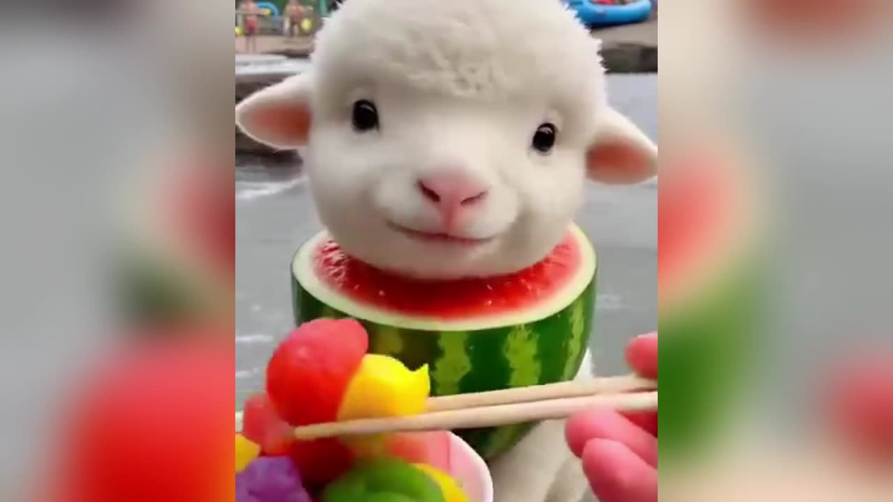 baby sheep AI eating