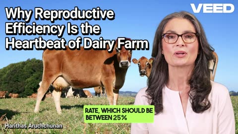 Why the Reproductive Efficiency is the Heartbeat of Dairy Farm