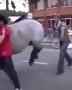 Just another dumbass fafo