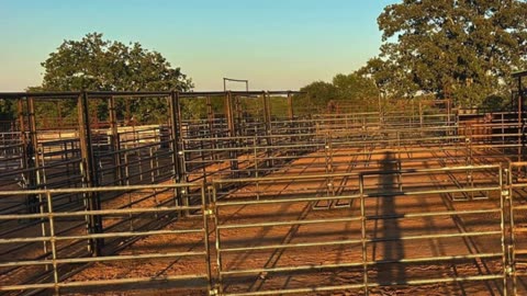 Dealer Spotlight: Morgan Livestock Equipment