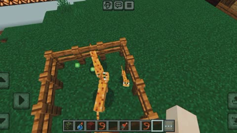 How to breed ocelot in Minecraft