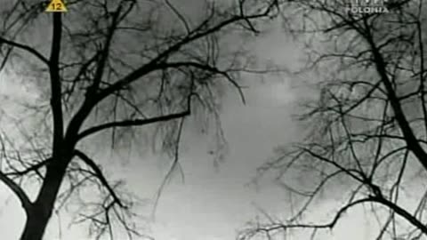 BEZPIEKA 3 dokument pl