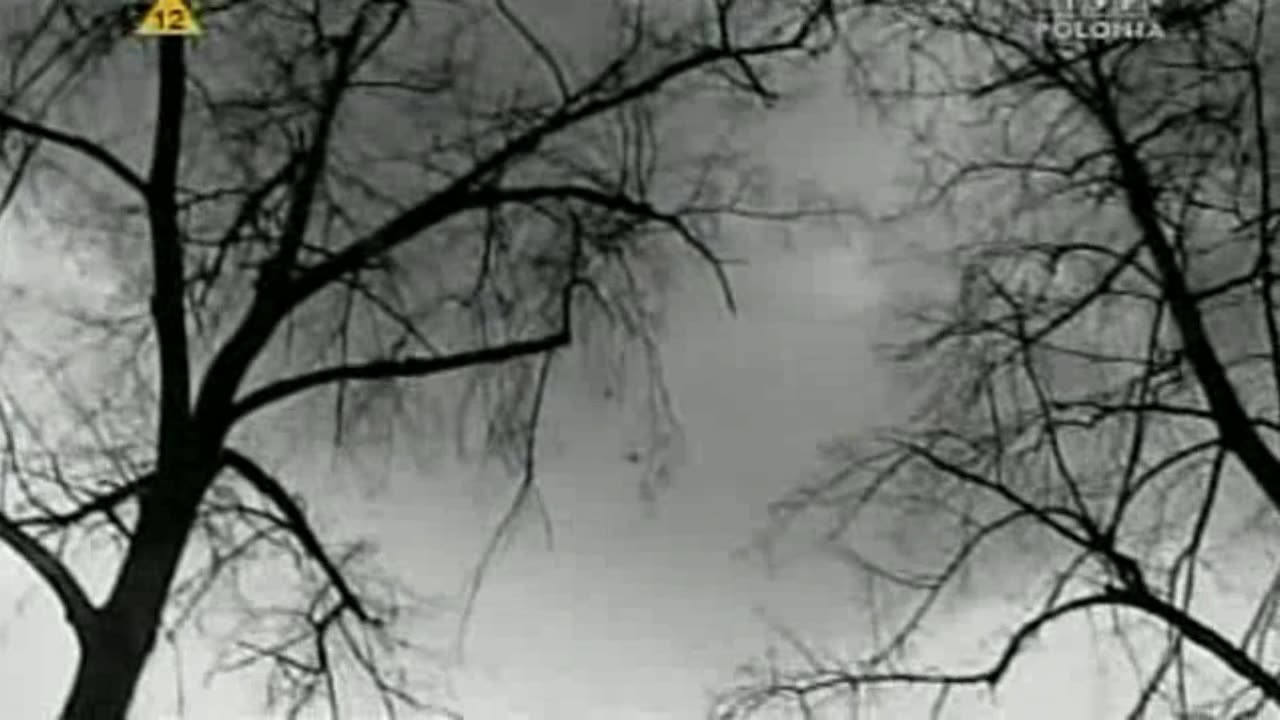 BEZPIEKA 3 dokument pl