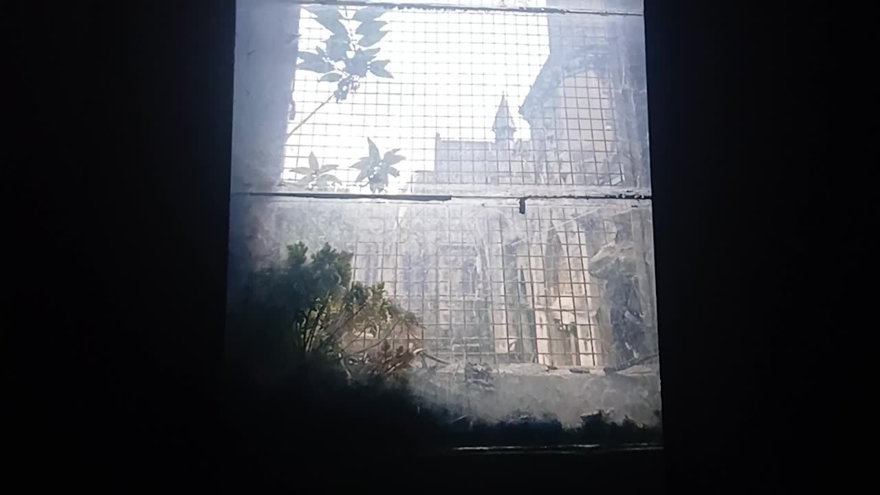 Music from Happy valley