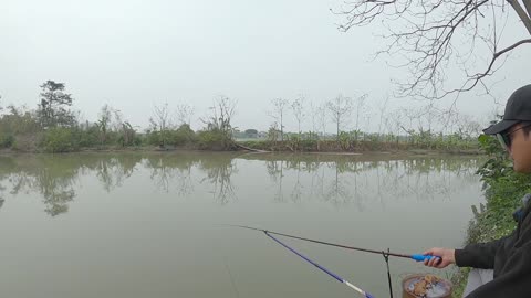 Bass Topwater Fishing in Lake Dawn Hours