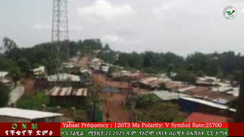 ሚያዚያ 21-2025 ONM-ABO እለታዊ የኦሮሞ ነፃነት ሰራዊትና የኦሮሚያ ውሎ!