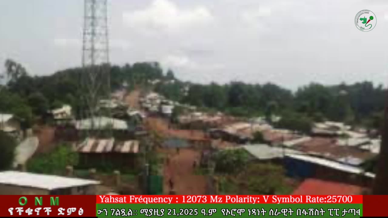 ሚያዚያ 21-2025 ONM-ABO እለታዊ የኦሮሞ ነፃነት ሰራዊትና የኦሮሚያ ውሎ!