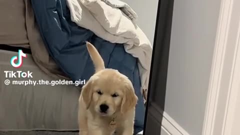 📱🐕 New Phone, Who Dis? Watch This! | FunFM