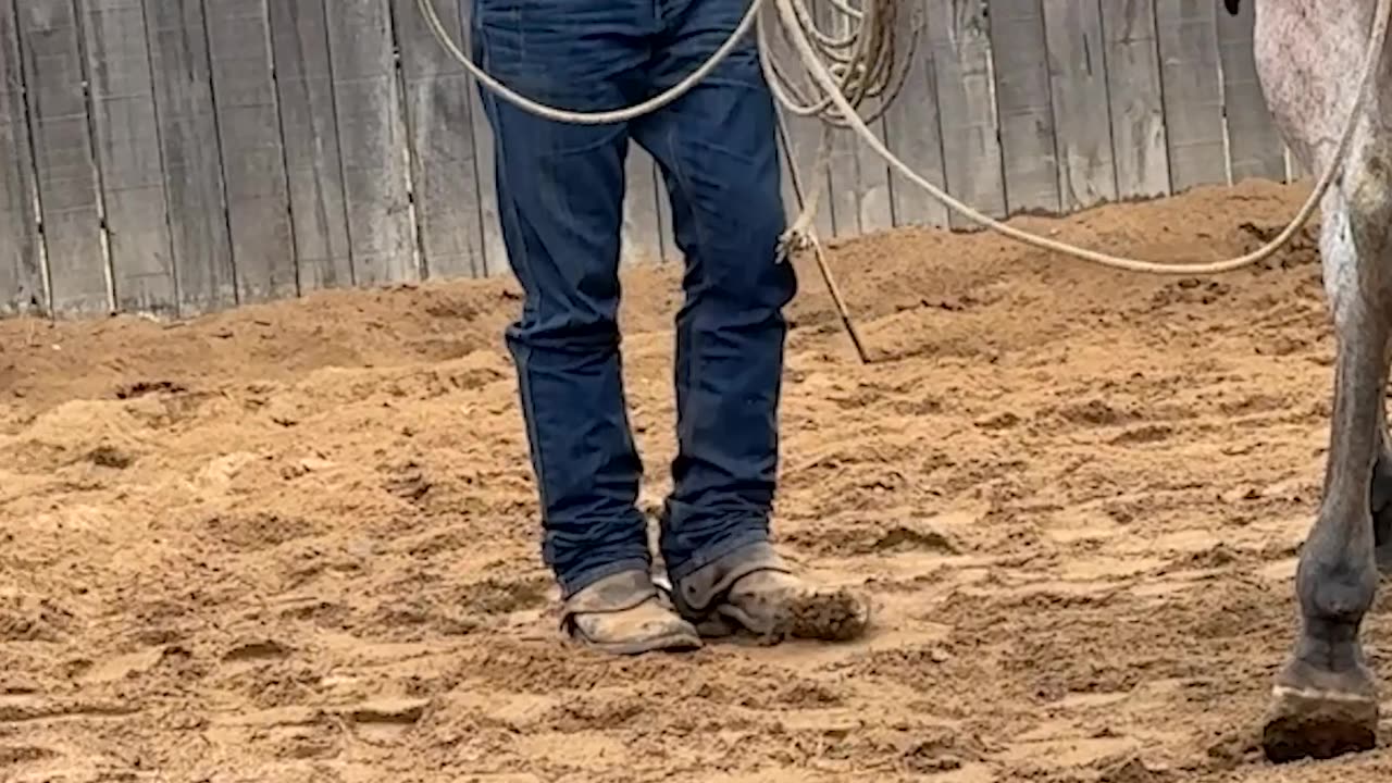 Don't protect them from the feel of the rope.