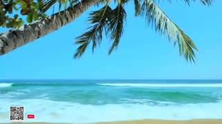 Healing Frequency Live 24-7