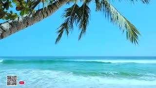 Healing Frequency Live 24-7