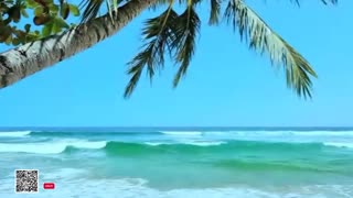 Healing Frequency Live 24-7