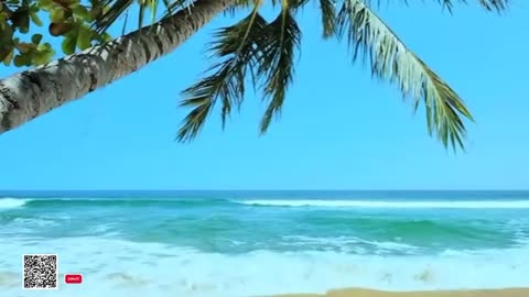 Healing Frequency Live 24-7