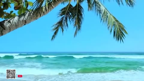 Healing Frequency Live 24-7