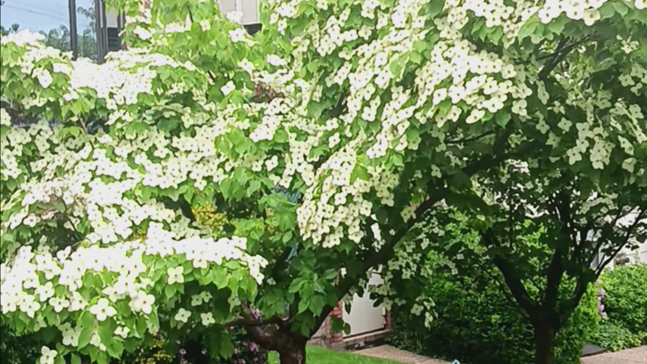 Spring colors