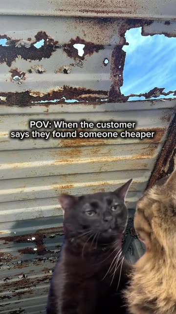 POV: When the customer says they found someone cheaper | USA Containers