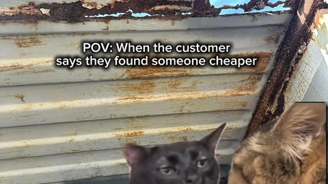 POV: When the customer says they found someone cheaper | USA Containers