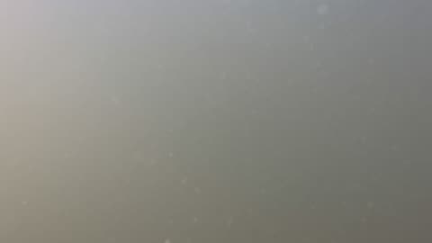 Extreme cloudy underwater