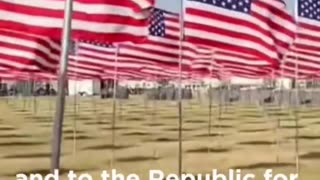 Politics - 2025 Happy Flag Day America I Pledge Allegiance To The Flag Long Live The Republic