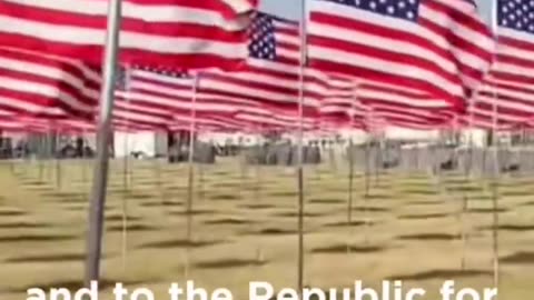 Politics - 2025 Happy Flag Day America I Pledge Allegiance To The Flag Long Live The Republic