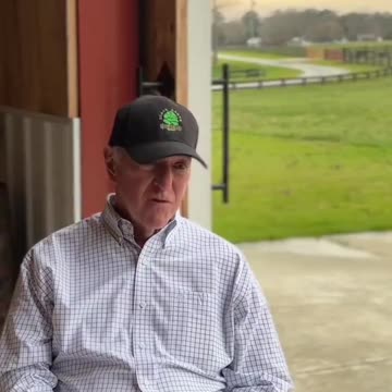 4 mega corps now own 85% of the entire meat industry