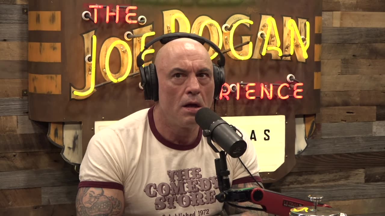 Joe Rogan Experience #2305 - Rich Vos