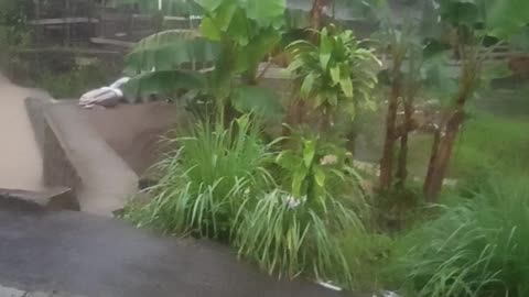 Citarik river dam rafting