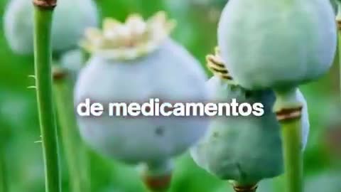 El Negocio Del Pastilleo Y Una Sociedad Obsesionada Con Las Enfermedades