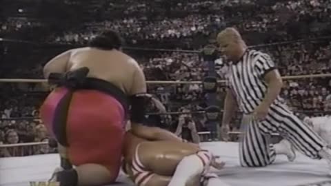 WrestleMania 10