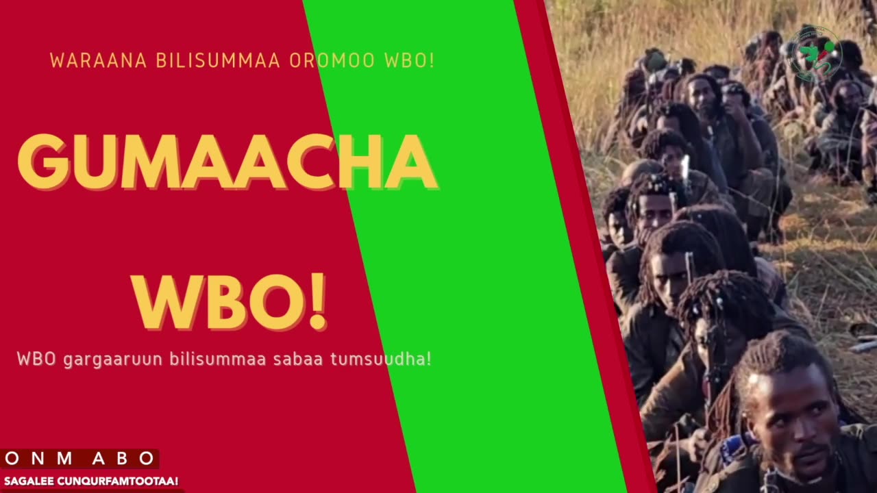 Gabaasa Gumaacha ONM-ABO Fulbaana 5-2025 itti dhiyaadhaa!