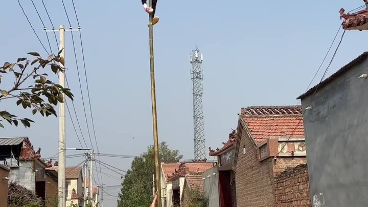 📜🤸 "Rare Skill! Pole Climbing & Pole Carrying | Li Meng’s Incredible Talent"