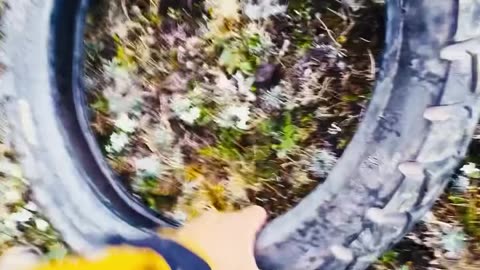 The height of pleasure🤩