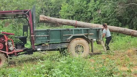 Strong Lady tractor driver working