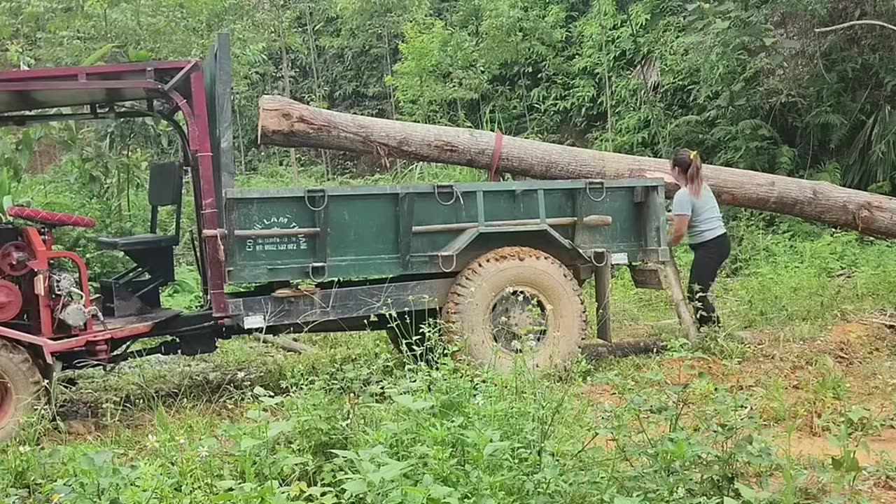 Strong Lady tractor driver working